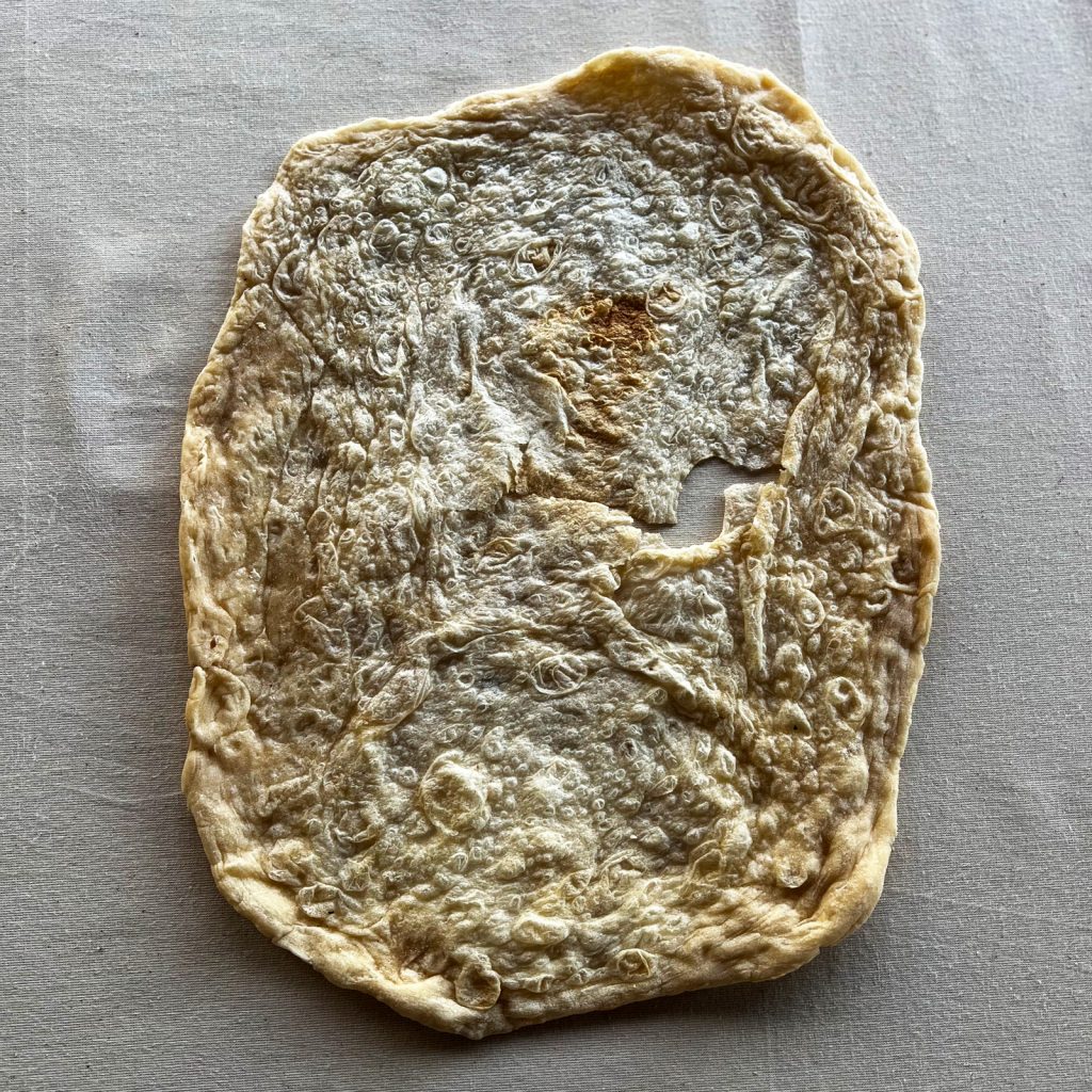Naan / Roti / Wrap (Pack of 8)