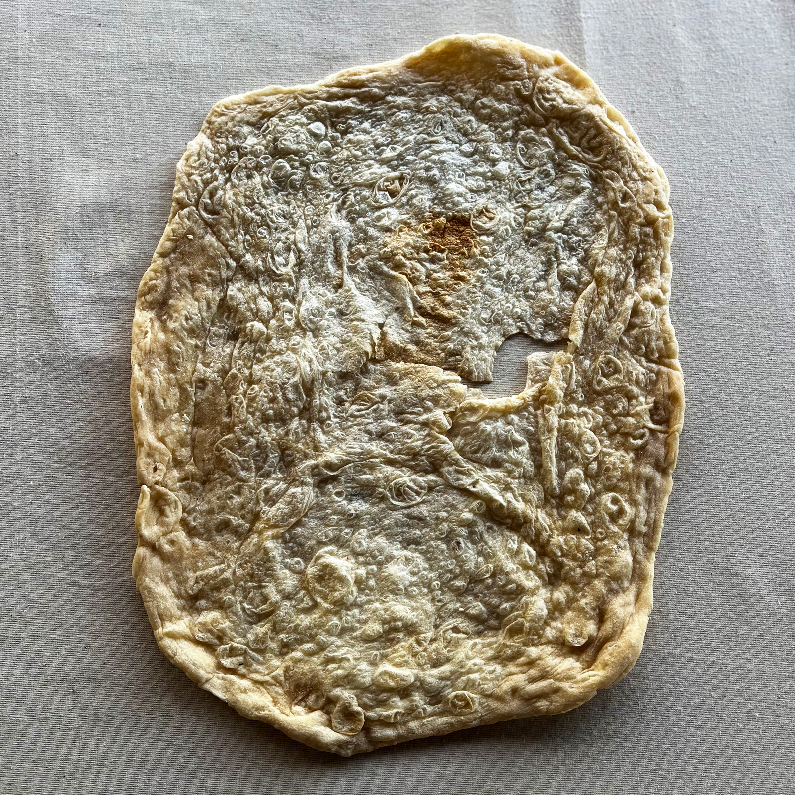 Naan / Roti / Wrap (Pack of 8) - Image 1