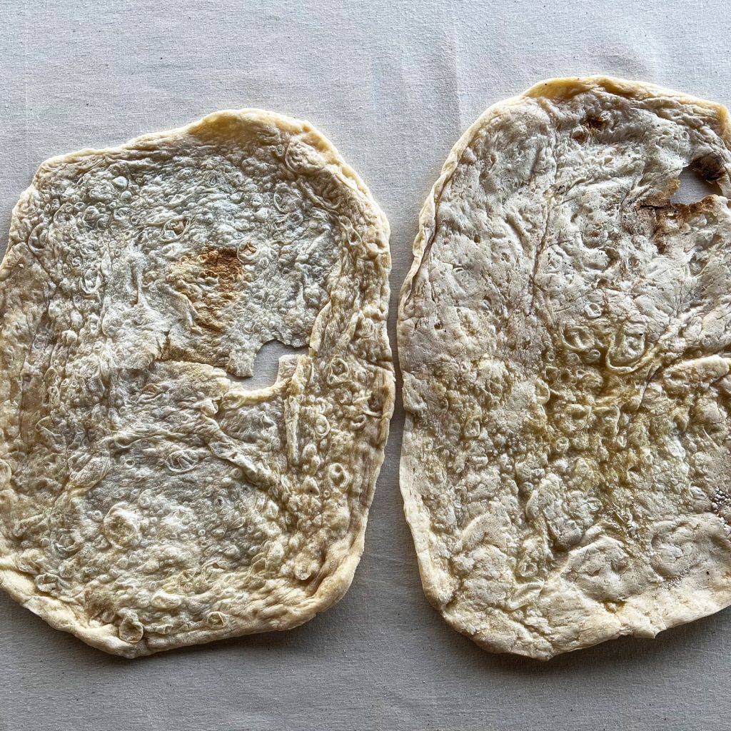 Naan / Roti / Wrap (Pack of 8)