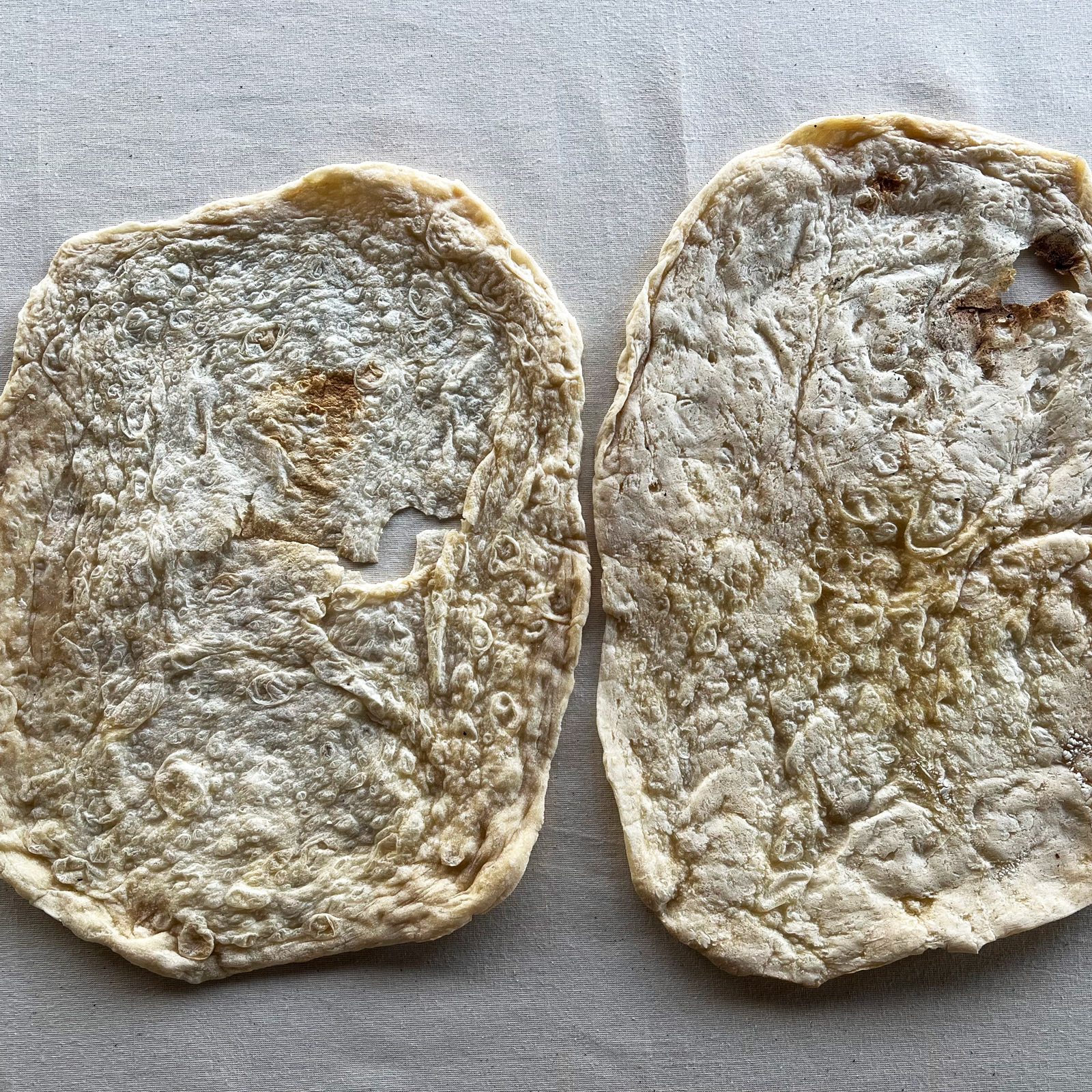 Naan / Roti / Wrap (Pack of 8) - Image 2